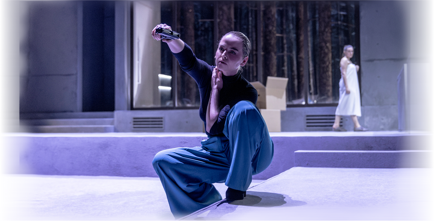 Performance visual